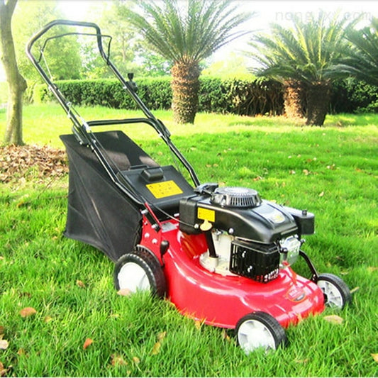 Efurden 21" Multi-Function Push Mower with Side Discharge, Collection Bag, Dethatching & Built-in Edge Trimmer